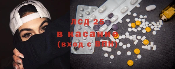 крисы Ельня