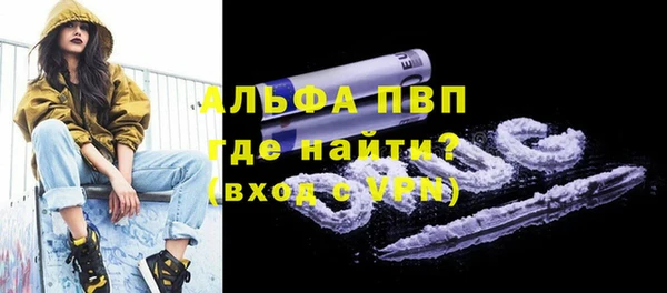крисы Ельня