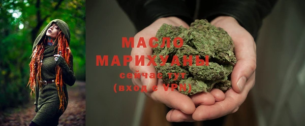 крисы Ельня
