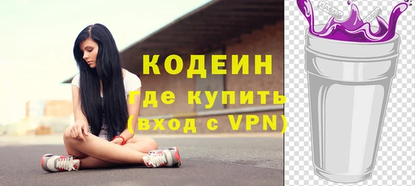 крисы Ельня