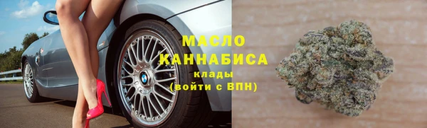 крисы Ельня