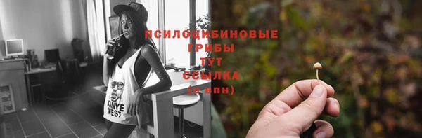 крисы Ельня