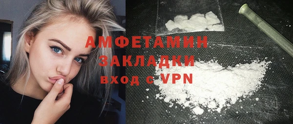 крисы Ельня