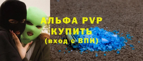 крисы Ельня