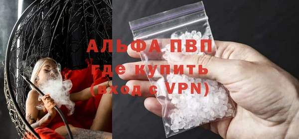 крисы Ельня