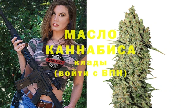 крисы Ельня